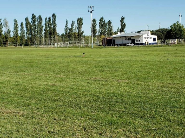 El esperanzador mensaje de Cultural Argentino a los chicos del club: «Los vamos a recibir con alegría y de la mejor manera»