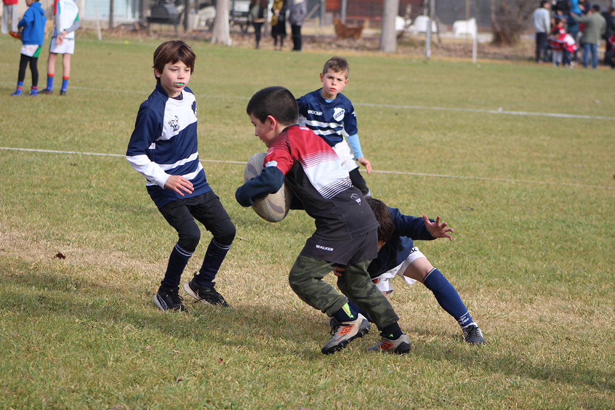 Pico Rugby organizó un masivo encuentro de Infantiles y le ganó a ONAS en las dos categorías