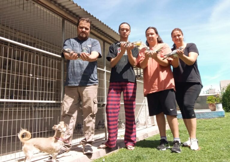 Colombofilia: “El Chasqui” se acostumbró a la victoria