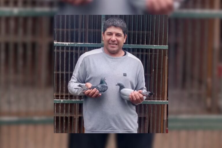 El palomar «Ases del Aire» dominó la sexta fecha desde Mocoretá, en Misiones, y desde Choele Choel, en Río Negro