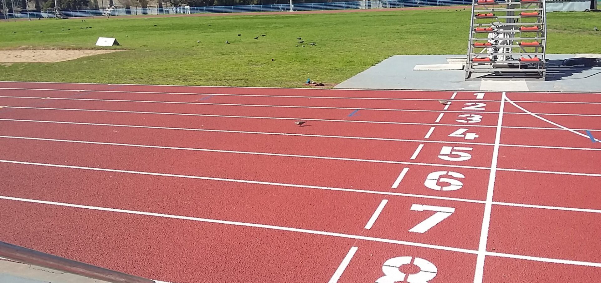 Presupuesto Participativo: la pista de atletismo obtuvo 636 votos, con 61,5% de participación femenina, y se construirá en el ex-Autódromo