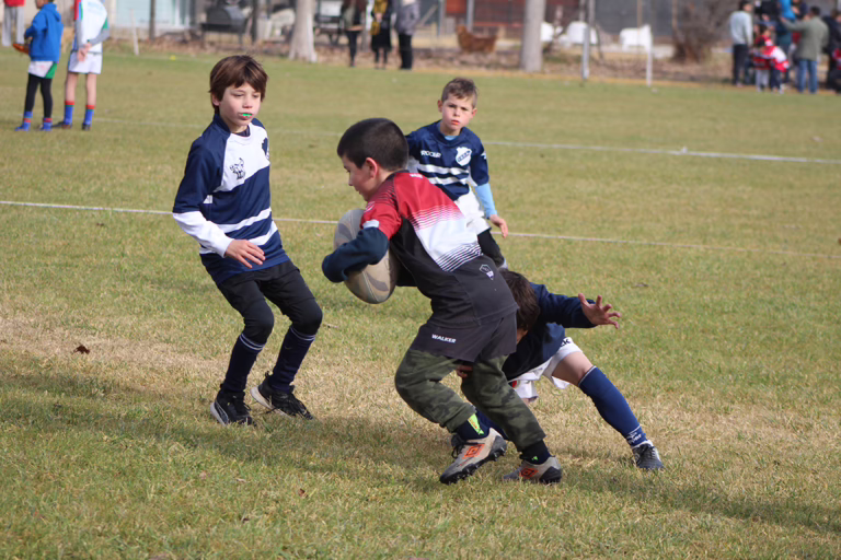 Pico Rugby Club se prepara para el inicio de su temporada 2025: espacio de formación y diversión para niños, jóvenes y adultos
