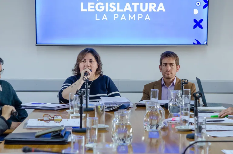 Legislatura: avanza el proyecto para crear el Mes de la Salud Mental y se aprobaron múltiples declaraciones de interés
